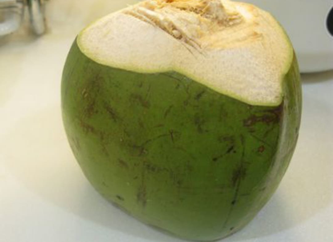 Young coconut used to illustrate klungah, the tender inner shell prepared for lawar in Jembrana, West Bali